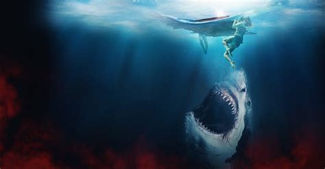 The Requin .